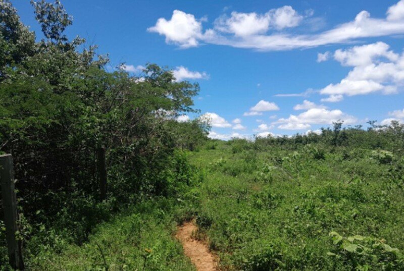 BAHIA - CORIBE/BA - FAZENDA/ÁREA RURAL em Coribe/BA