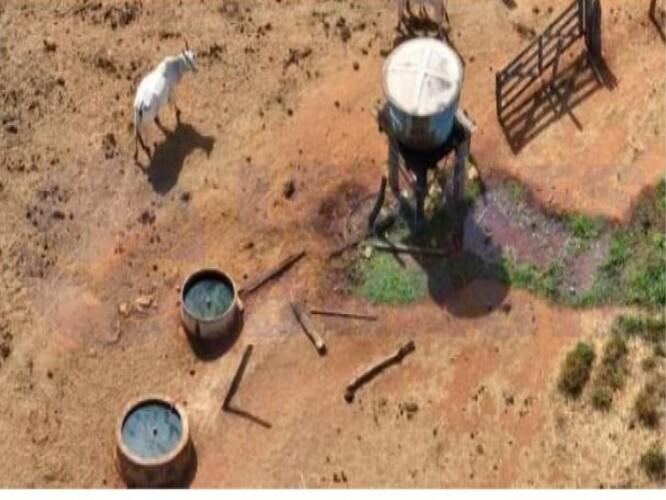 Imagem leilão