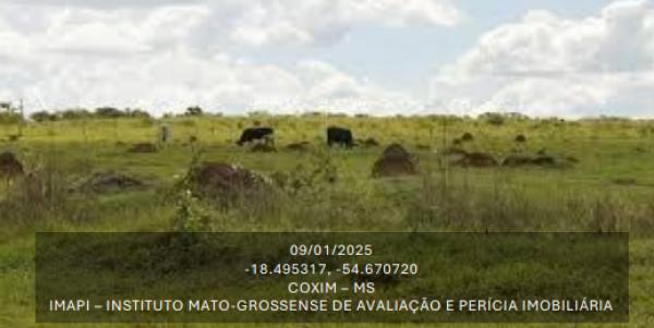 Imagem leilão