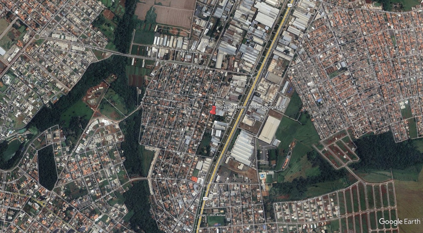 Imagem leilão