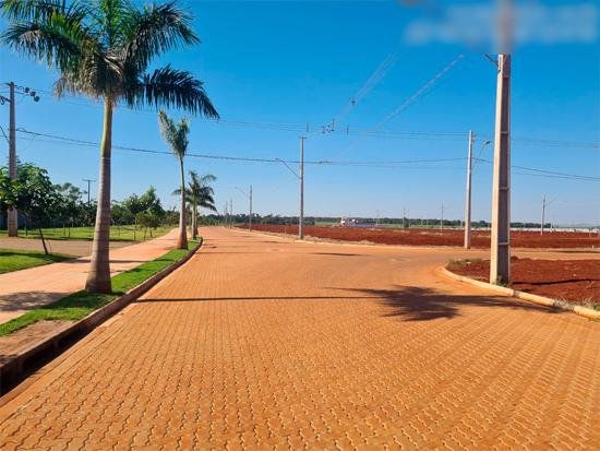Imagem leilão