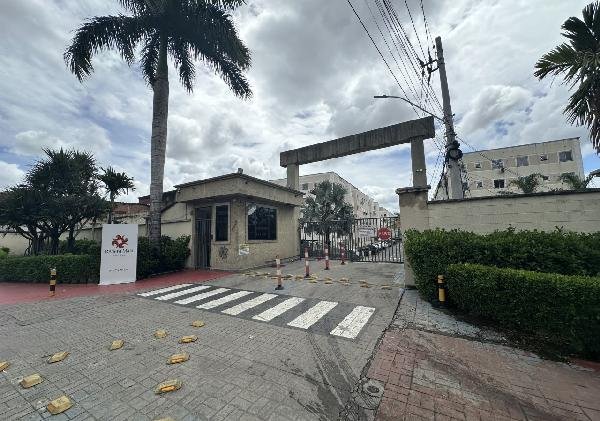 Imagem leilão