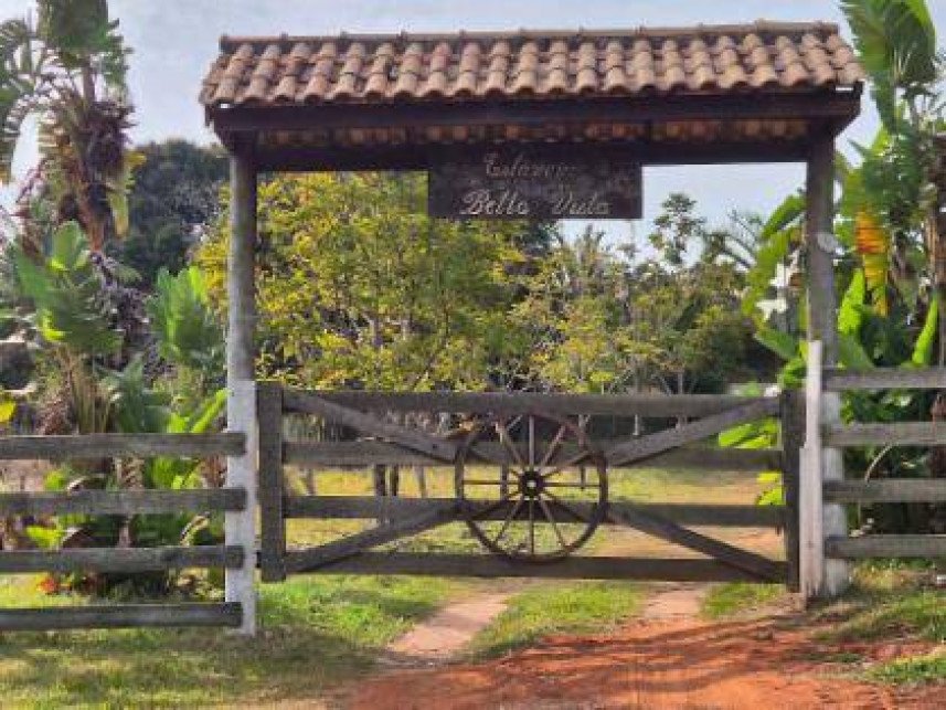 Imagem leilão