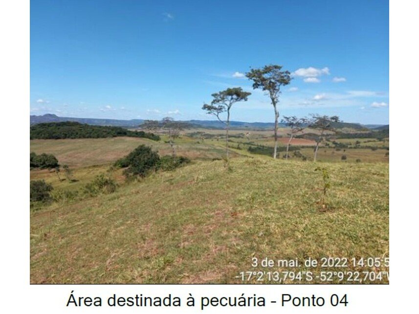 Imagem leilão
