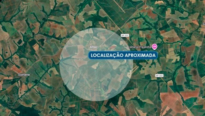 Imagem leilão
