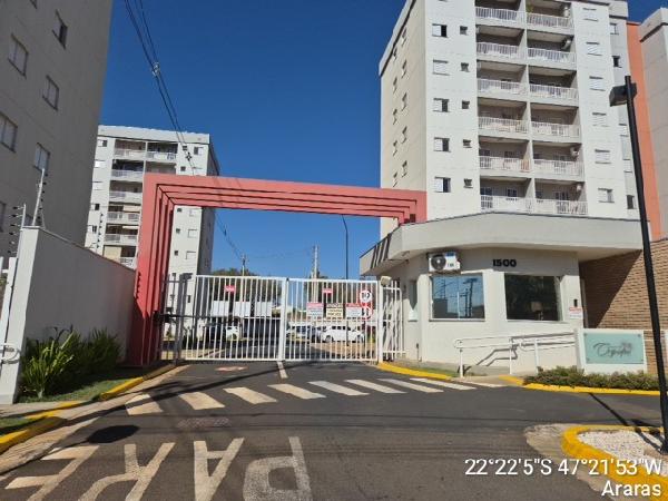 Imagem leilão