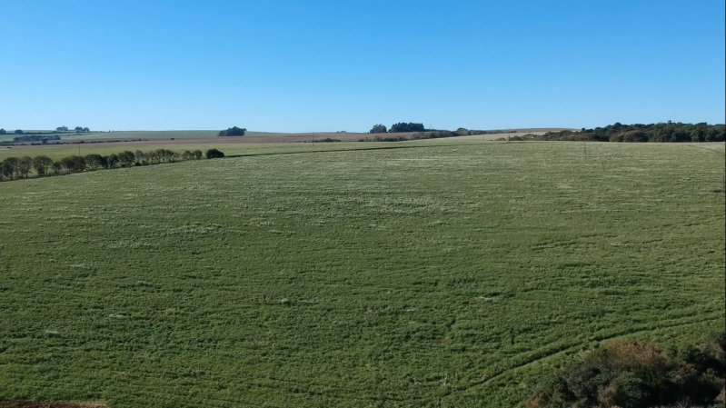 A FRAÇÃO IDEAL DE 38.535,98m² SOBRE UMA PARTE DE TERRAS.. em Pontão/RS - foto 7