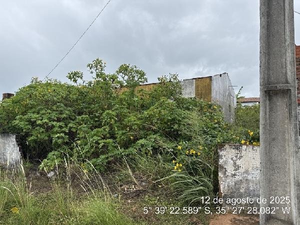 Casa, 46.94 de área total, 46.94 de área privativa, 200.00 de área do terreno,  2 qto(s), em Ceará-Mirim/RN