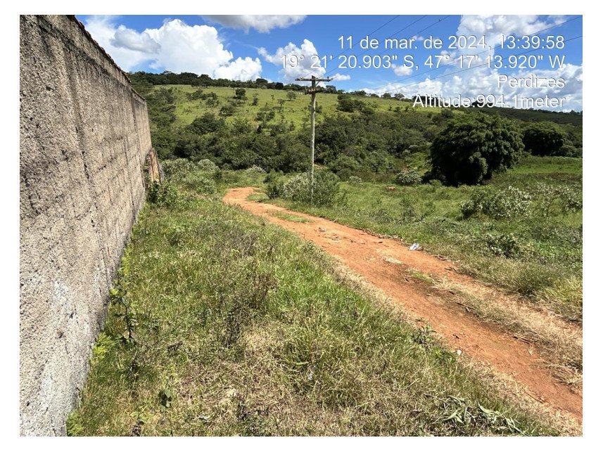 Imagem leilão