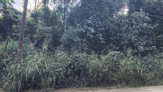 Imagem leilão