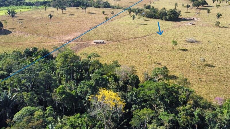 IMÓVEL RURAL COM 53,3362ha EM OURO PRETO DO OESTE/RO em Ouro Preto do Oeste/RO - foto 2