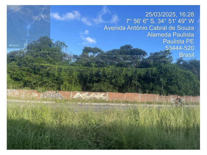 Imagem leilão
