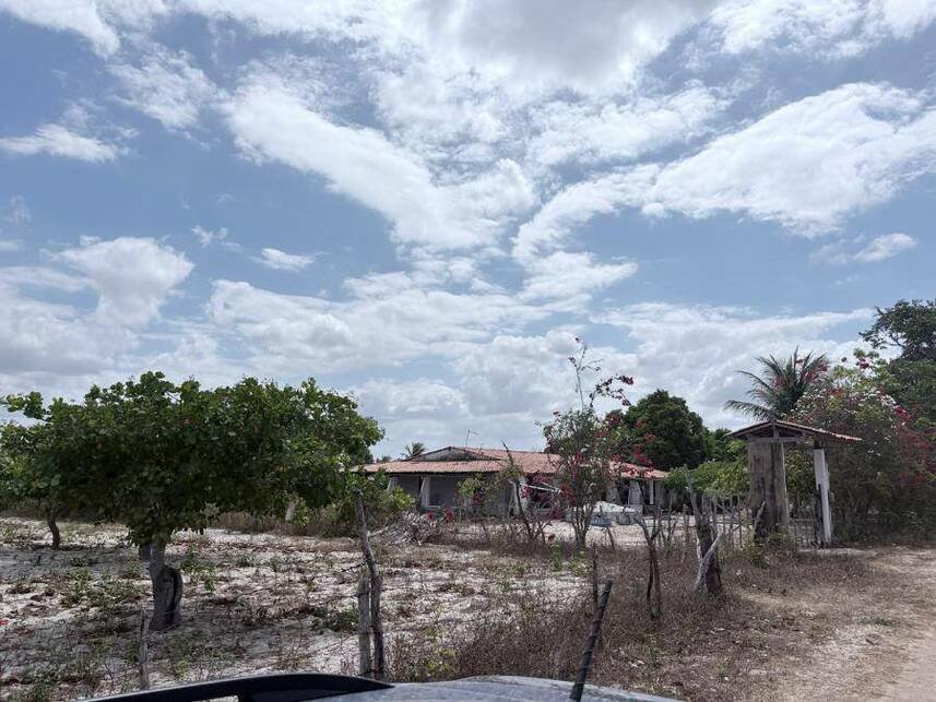 Imagem leilão