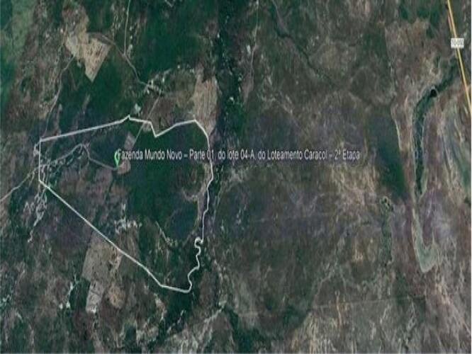 Imagem leilão