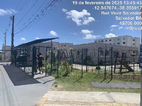 Imagem leilão