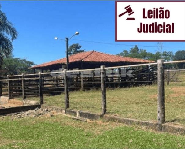 Imagem leilão