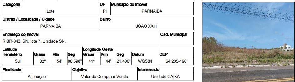 Imagem leilão