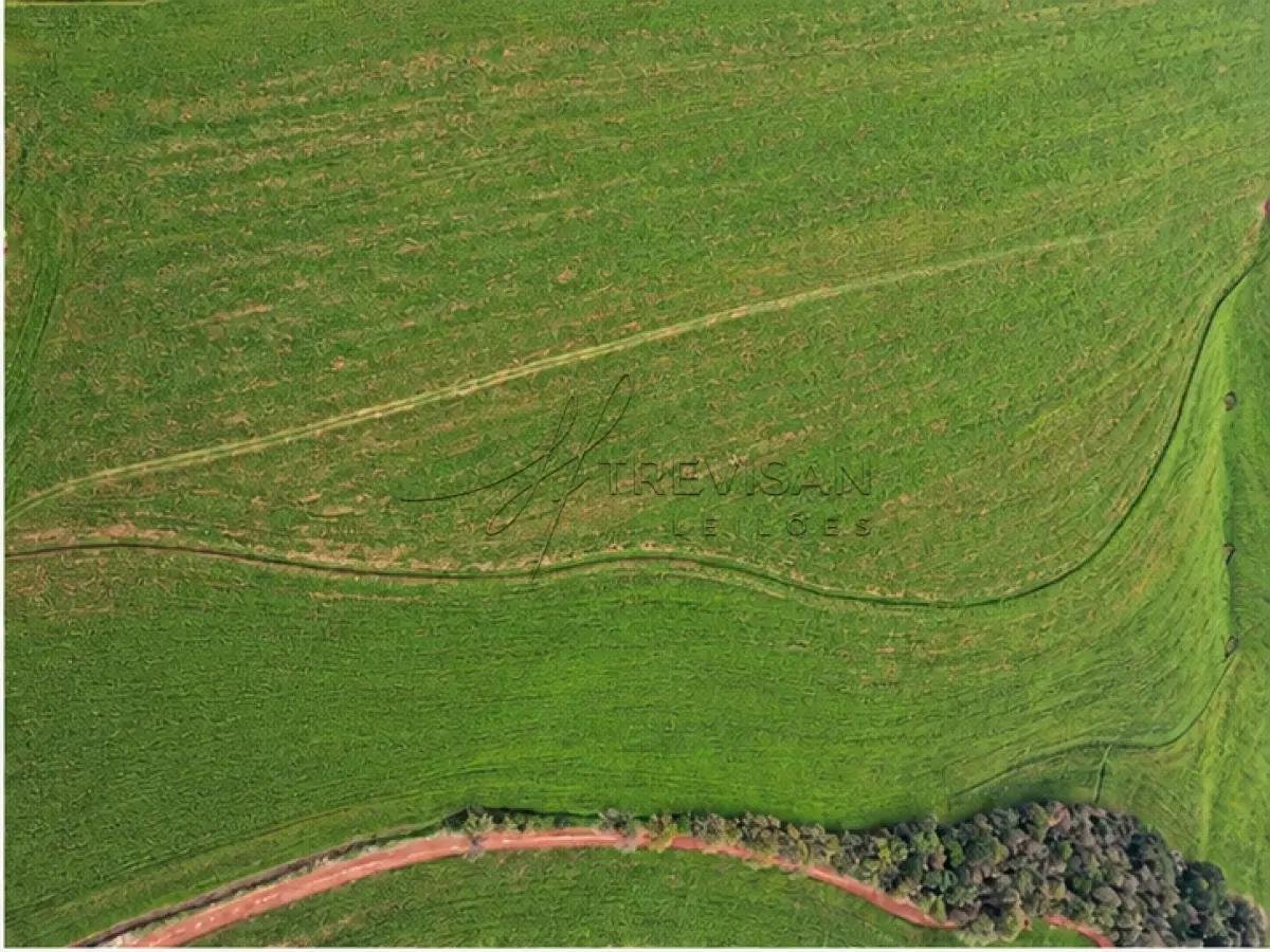 MATRÍCULA Nº 18.387, com área superficial de 193.254,12 m² em Sarandi/RS