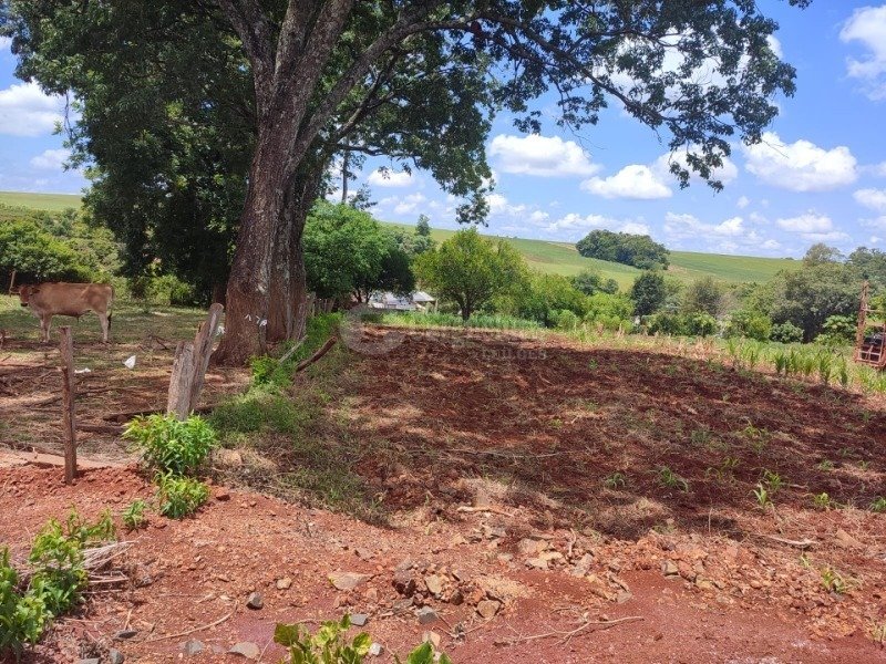 1.100m², Dona Otília,  Roque Gonzales/RS em Roque Gonzales/RS - foto 6