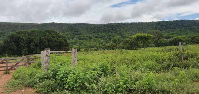 IMÓVEL RURAL COM ÁREA DE 1.899,2700HAS, "FAZENDA VALENT.. em Rosário Oeste/MT - foto 10
