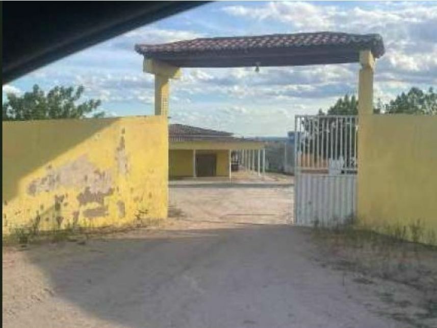 Imagem leilão
