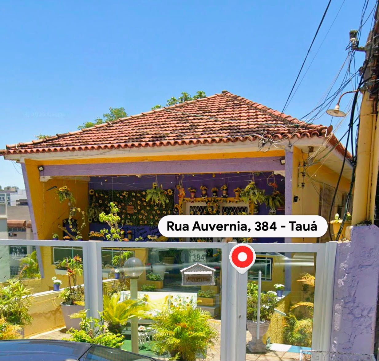 Imagem leilão