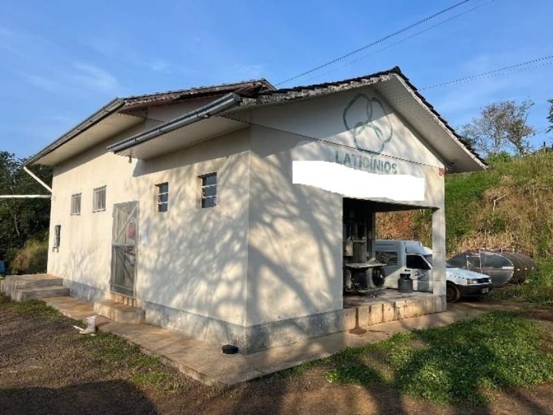 Imagem leilão