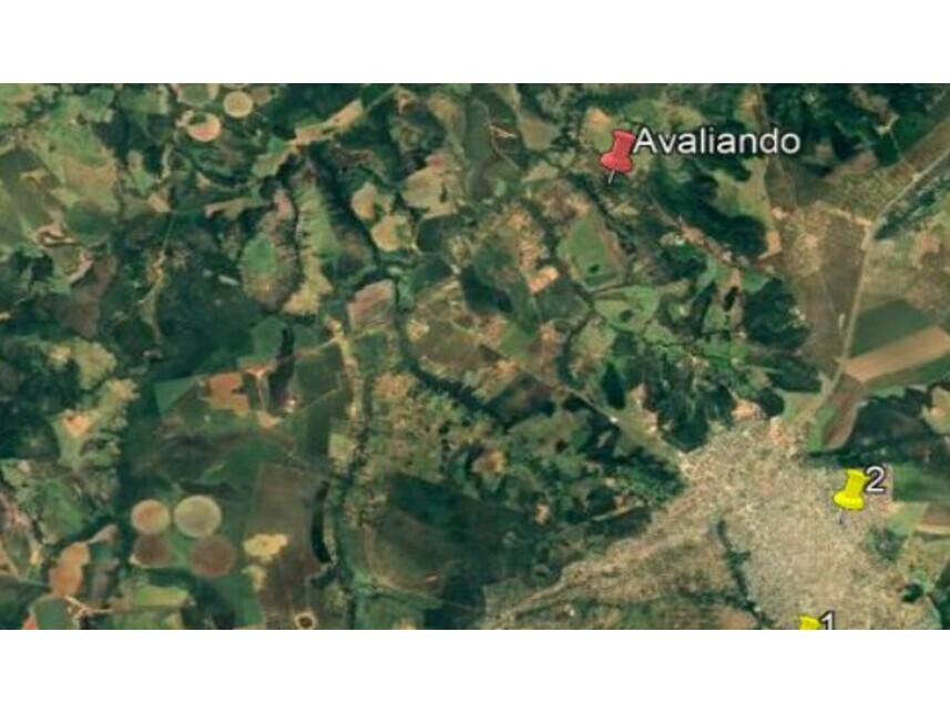 Imagem leilão