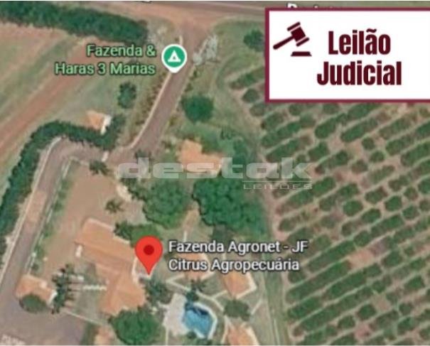 Imagem leilão