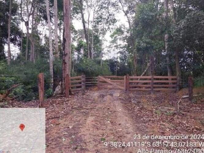 Imagem leilão