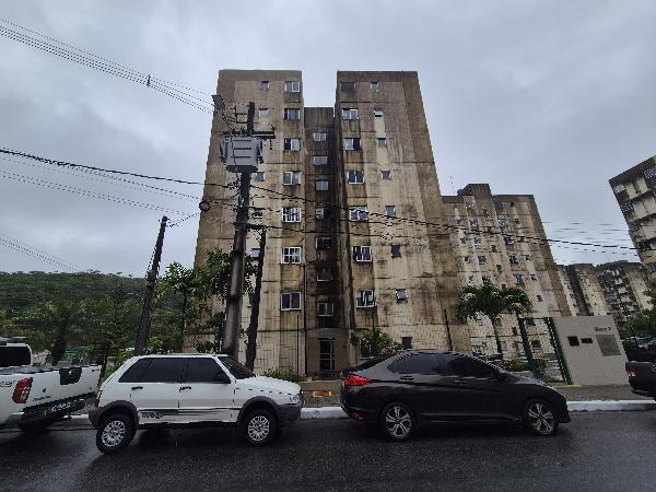 Imagem leilão