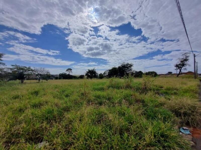 Imóvel em Araraquara/SP - foto 3