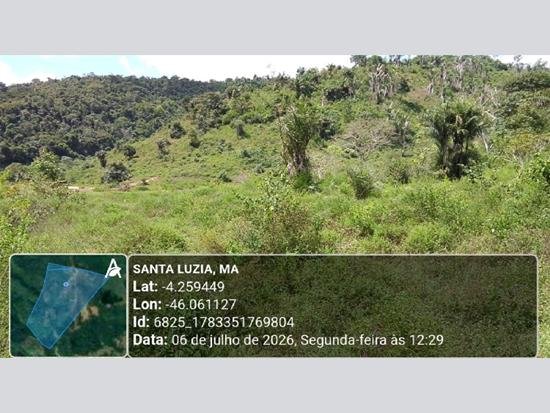 Imagem leilão