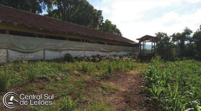 Parte de terras de culturas, com área de 121.000,00m², na localidade de Samburá, em Ipuaçu em Ipuaçu/SC - foto 6