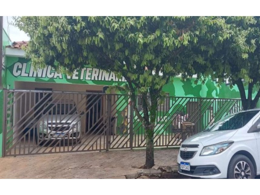Imagem leilão