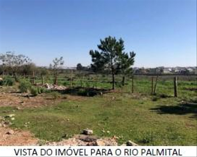 Imagem leilão