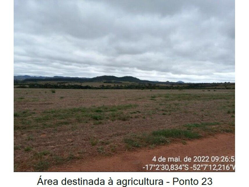 Imagem leilão