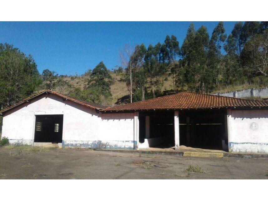 Imagem leilão
