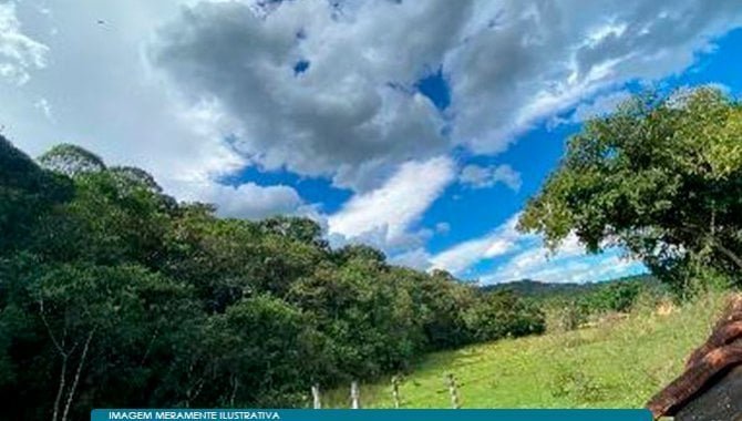 Imagem leilão