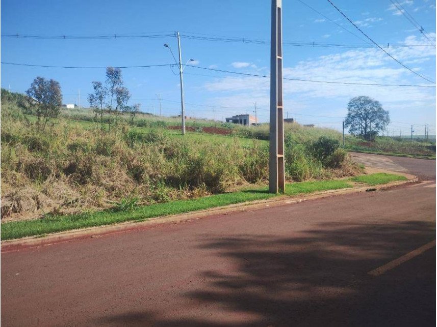 Imagem leilão