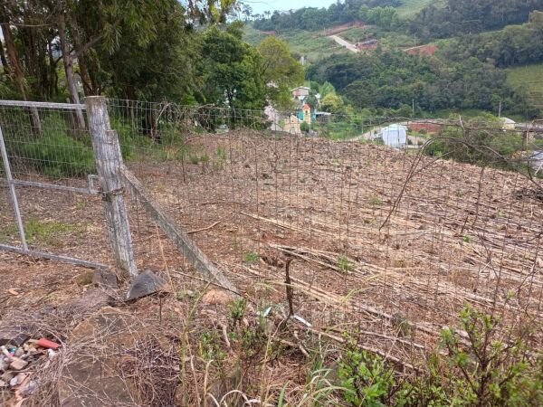 LOTE 01: TOTALIDADE DOS BENS MELHORES DESCRITOS NOS LOTES 2 E 3 - AREAS DE TERRAS URBANAS, em Bento Gonçalves/RS - foto 2