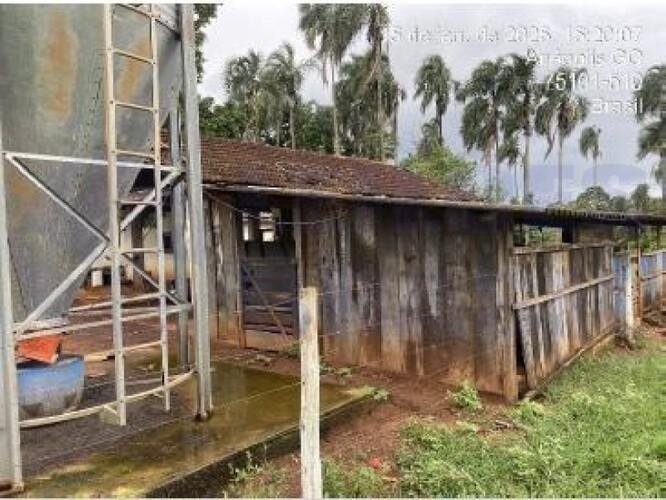 Imagem leilão