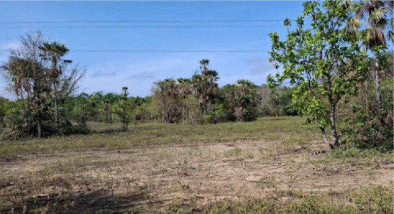 PIAUÍ - PIRIPIRI/PI - ÁREA RURAL/FAZENDA em Piripiri/PI - foto 3