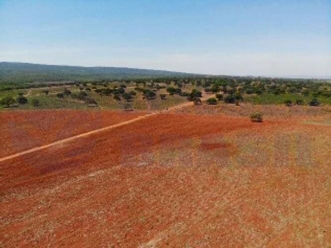 Imagem leilão