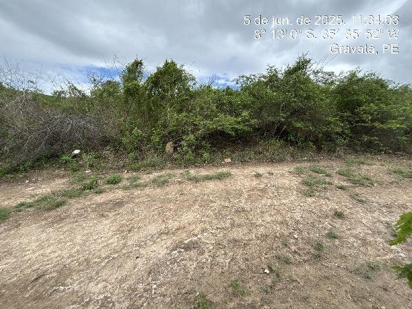 Terreno, 0.00 de área total, 0.00 de área privativa, 372.00 de área do terreno. em Gravatá/PE