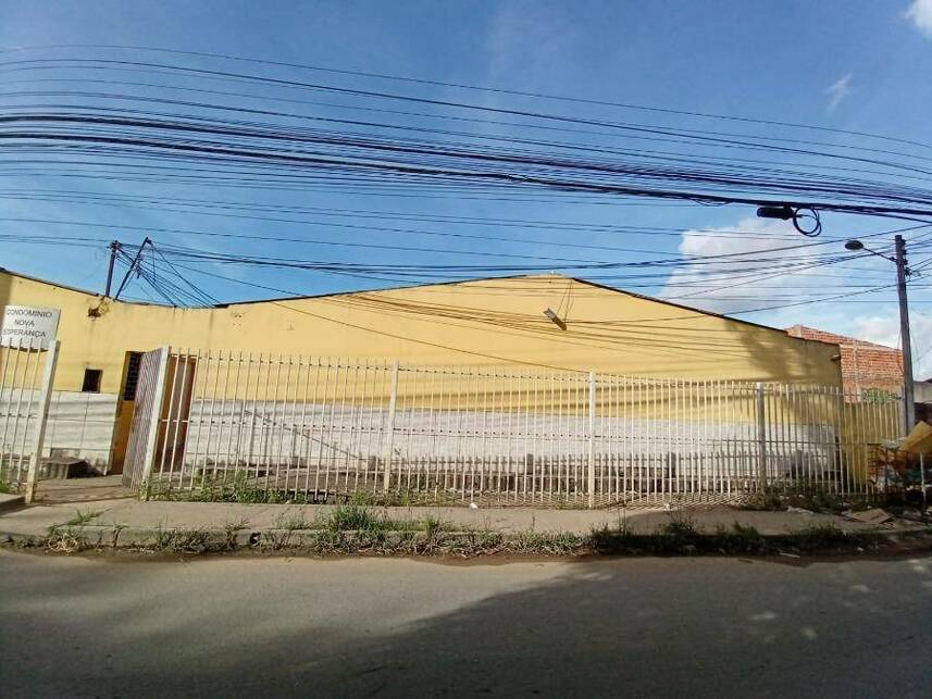 Imagem leilão