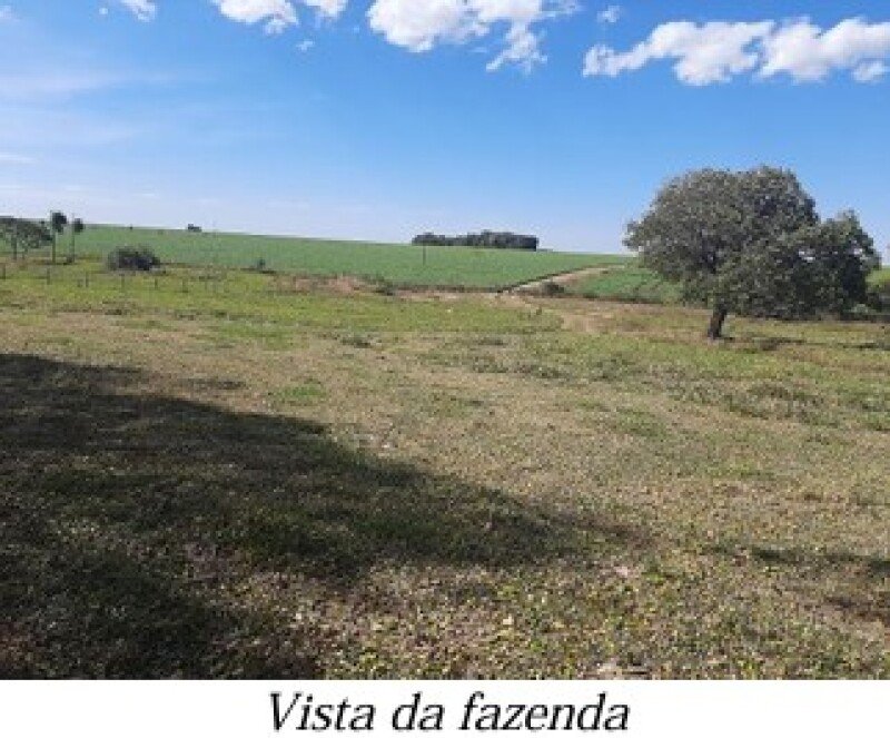 ALIENAÇÃO FIDUCIÁRIA da FAZENDA KALAFATE - Área de 359h.. em Bela Vista/MS - foto 4