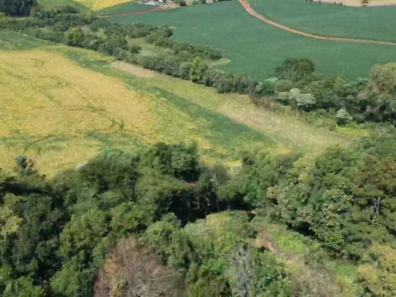 OS DIREITOS E AÇÕES DA FRAÇÃO IDEAL DE 8.410,71m² SOBRE.. em Áurea/RS - foto 11