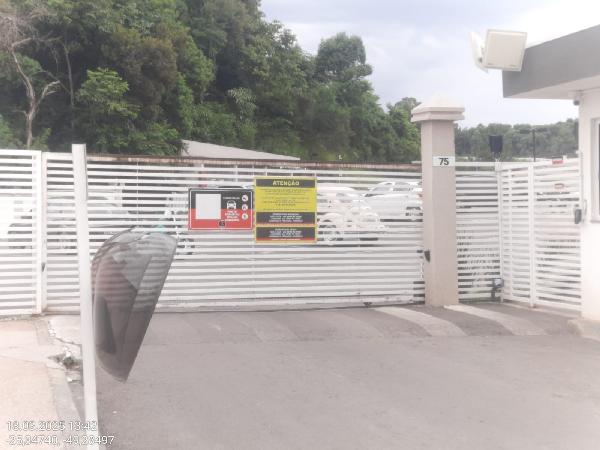 Imagem leilão
