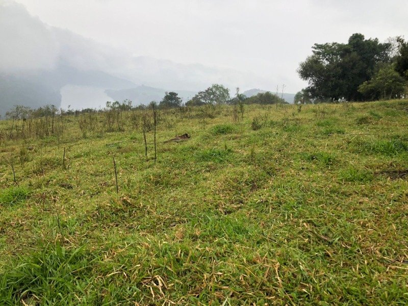 A FRAÇÃO IDEAL DE 50% (128.750,00M²) SOBRE O LOTE RURAL.. em Erval Grande/RS - foto 28